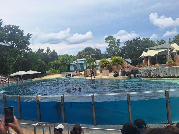 WhatsApp Image 2025-12-29 at 07.37.17